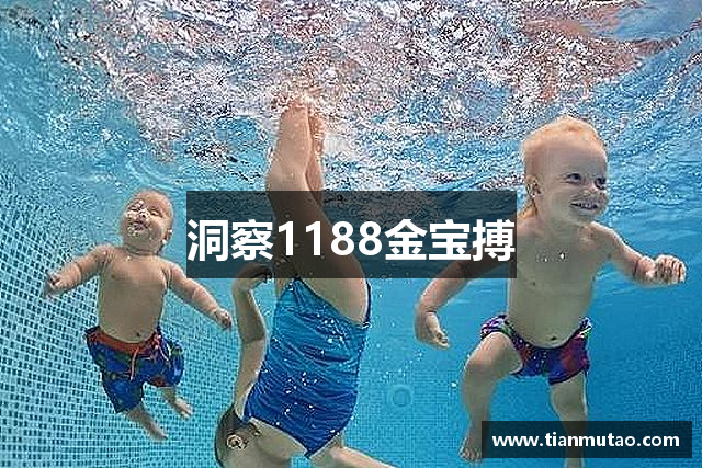 洞察1188金宝搏